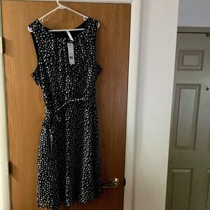 NWT Sz 3x Black & White Poka Dot Dress NY  Collection Woman